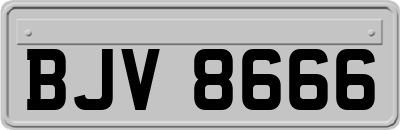 BJV8666