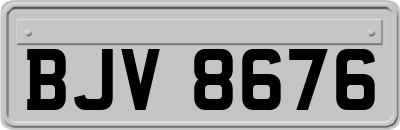 BJV8676