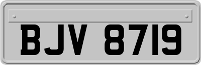 BJV8719