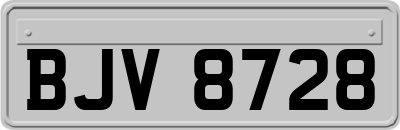 BJV8728