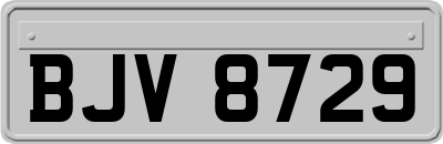 BJV8729