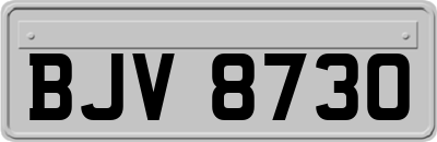 BJV8730