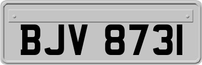 BJV8731