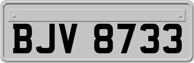 BJV8733