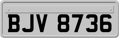 BJV8736