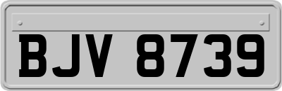 BJV8739