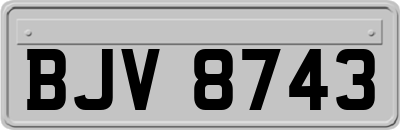 BJV8743