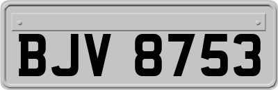 BJV8753