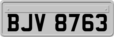BJV8763
