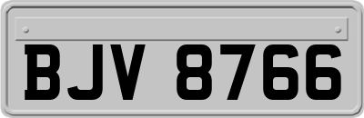 BJV8766