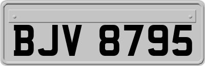 BJV8795