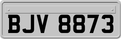BJV8873