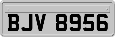 BJV8956