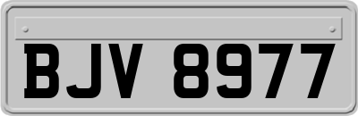 BJV8977