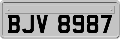 BJV8987
