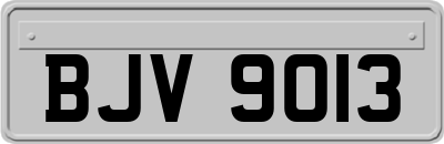 BJV9013