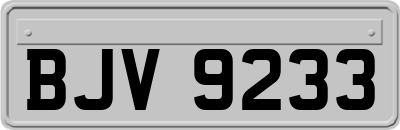 BJV9233