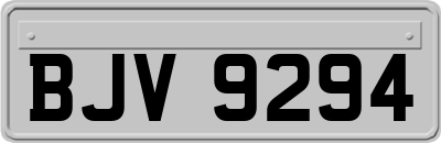 BJV9294