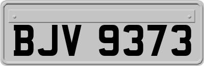 BJV9373