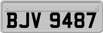 BJV9487