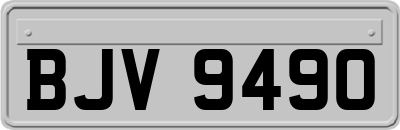 BJV9490