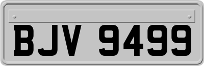 BJV9499