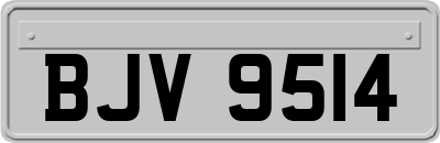 BJV9514