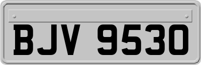 BJV9530