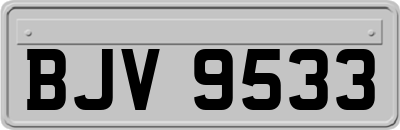 BJV9533