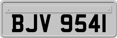 BJV9541
