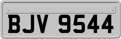 BJV9544