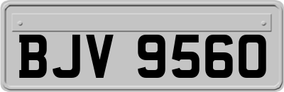 BJV9560