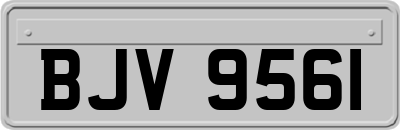 BJV9561