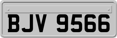 BJV9566