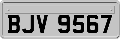 BJV9567