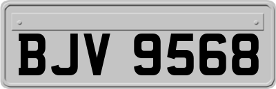 BJV9568