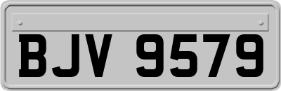 BJV9579