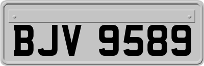 BJV9589