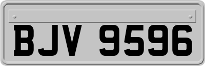BJV9596