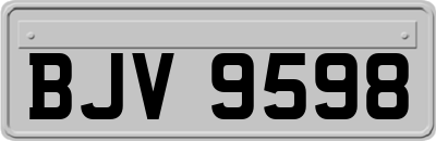 BJV9598