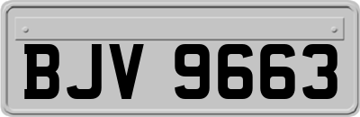 BJV9663