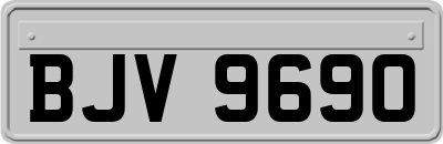BJV9690