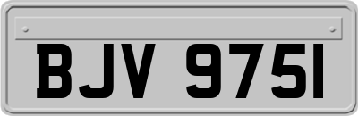 BJV9751