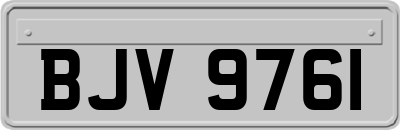 BJV9761