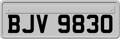 BJV9830