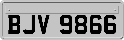 BJV9866