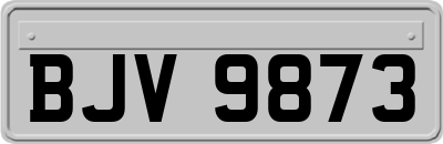 BJV9873