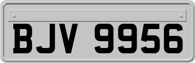 BJV9956