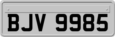BJV9985