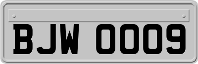 BJW0009